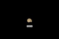 藏品(鍊珠花冠螺)的圖片